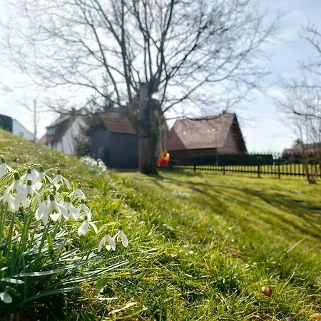 Apartment Zentrale&ruhige Mössingen