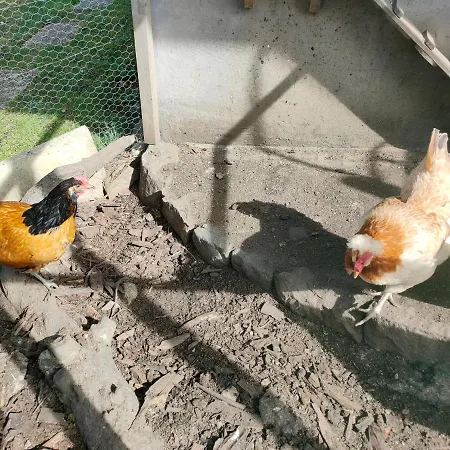 Apartment Zentrale&ruhige Mössingen